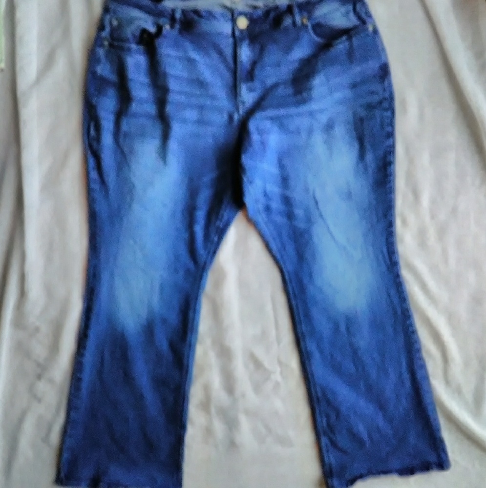 Cato Est. 1946 Denim Petite Jeans